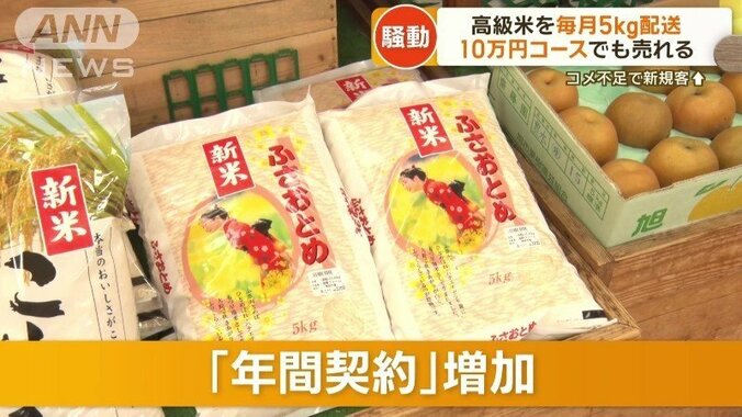 「年間契約」増加