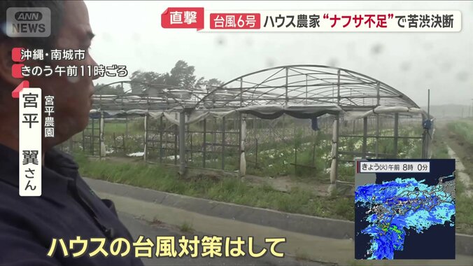 ハウスの倒壊予防でシートを外した
