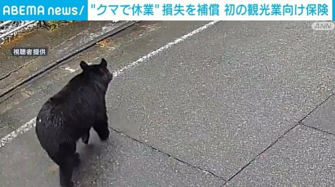 住宅街を走るクマ