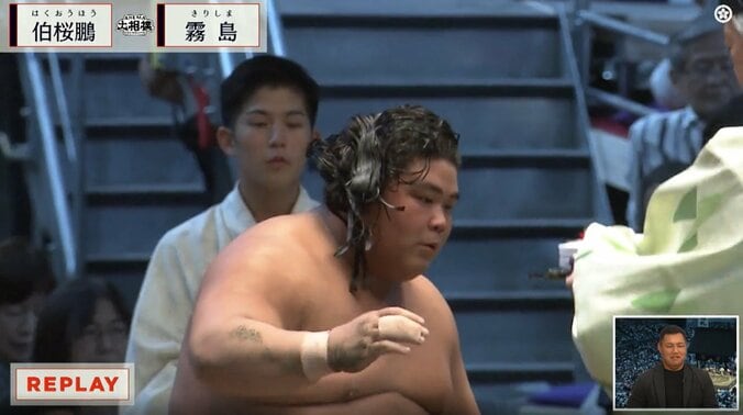 大銀杏が解けた伯桜鵬