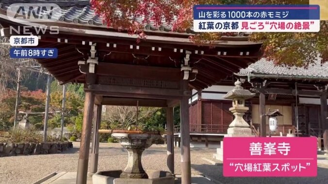 “穴場の紅葉スポット”善峯寺