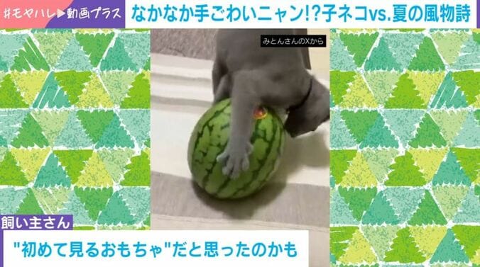 とあくん
