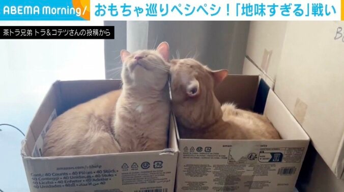 トラくんとコテツくん