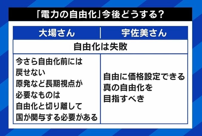 料金上昇はいつまで？ ひろゆき氏「東電は今からでも解体を」大手電力7社、来月から値上げ 4枚目