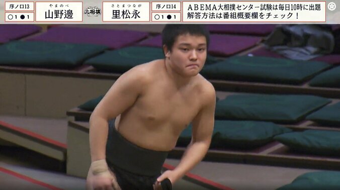 序ノ口十三枚目・山野邊（出羽海）