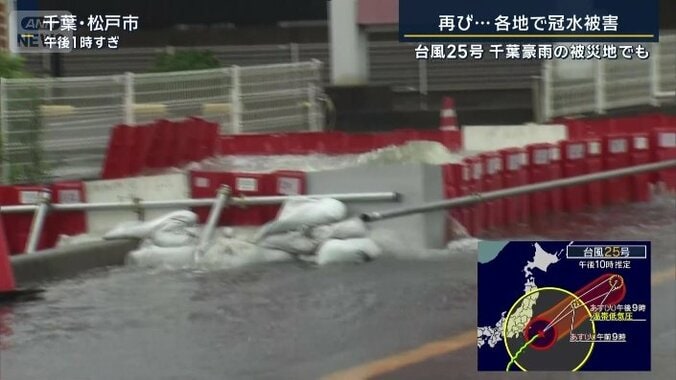 止水板
