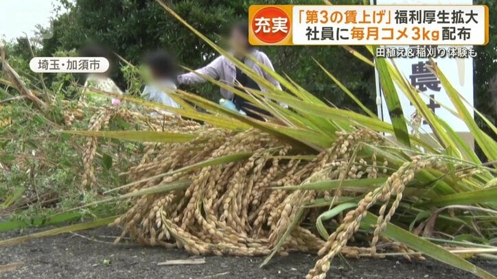 田植えや稲刈りを手伝う研修
