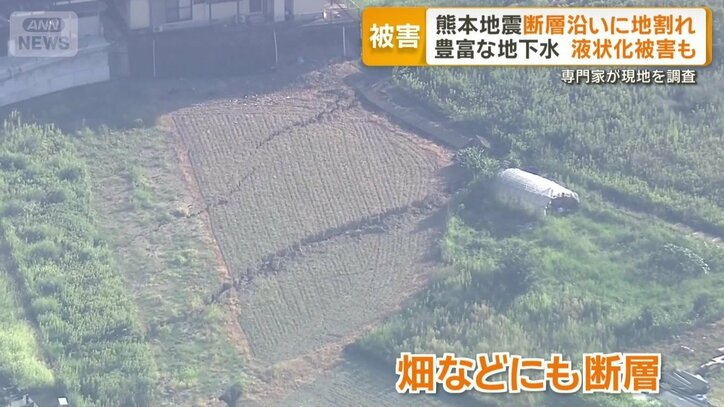 畑などにも断層