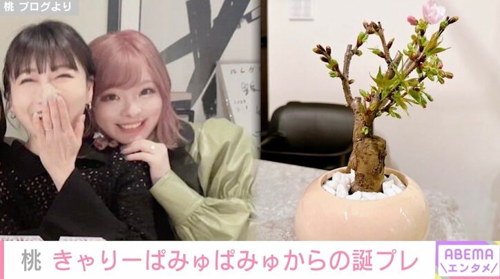 あいのり・桃、きゃりーぱみゅぱみゅからの誕プレを公開「別格にステキ」と絶賛の声