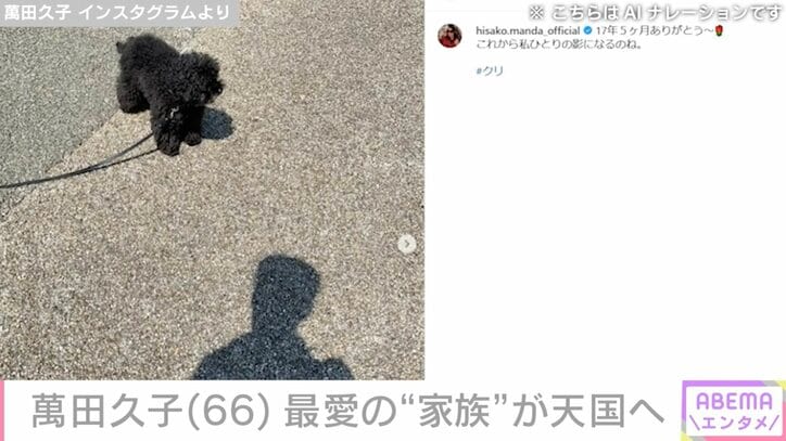 【写真・画像】萬田久子（66）、17年5カ月共に過ごした“家族”が天国へ「これから私ひとりの…」　2枚目