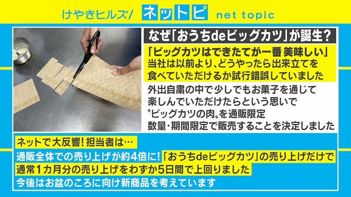 ロングセラー駄菓子「ビッグカツ」の肉が通販開始！ 33枚分のボリュームで量産＆揚げたてが楽しめる