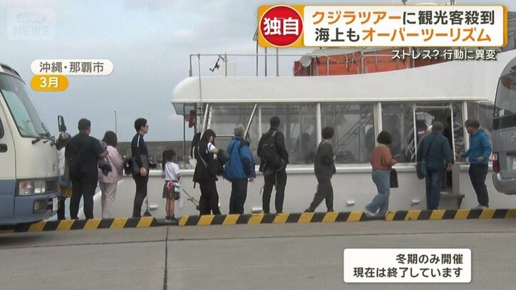 沖縄・那覇にある港にできた長蛇の列