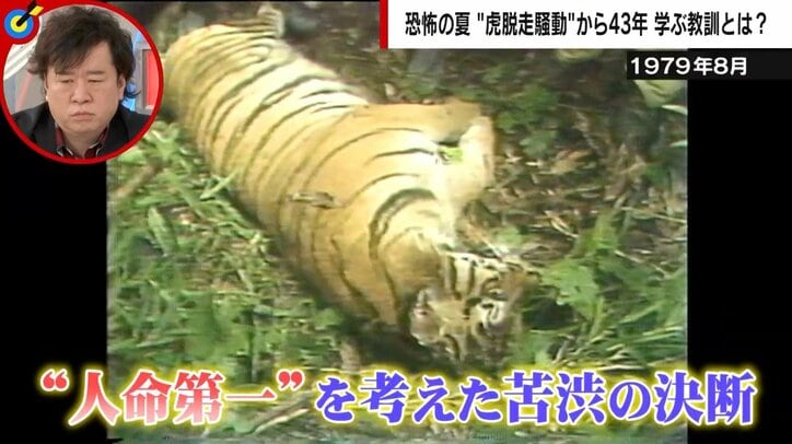 “虎脱走騒動”で小さな集落が大混乱 あれから43年…関係者証言に学ぶ教訓