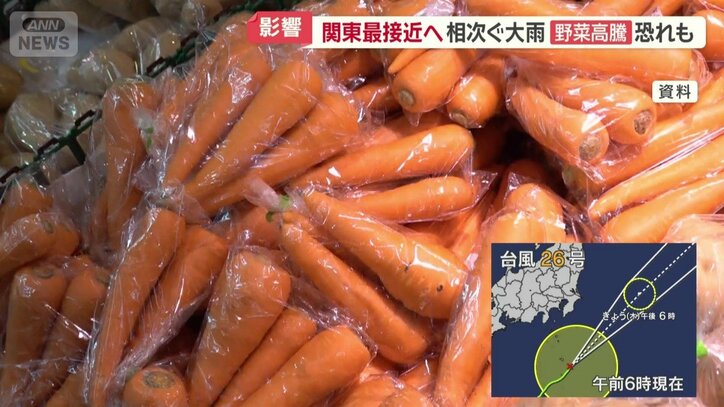 ニンジンの市場は