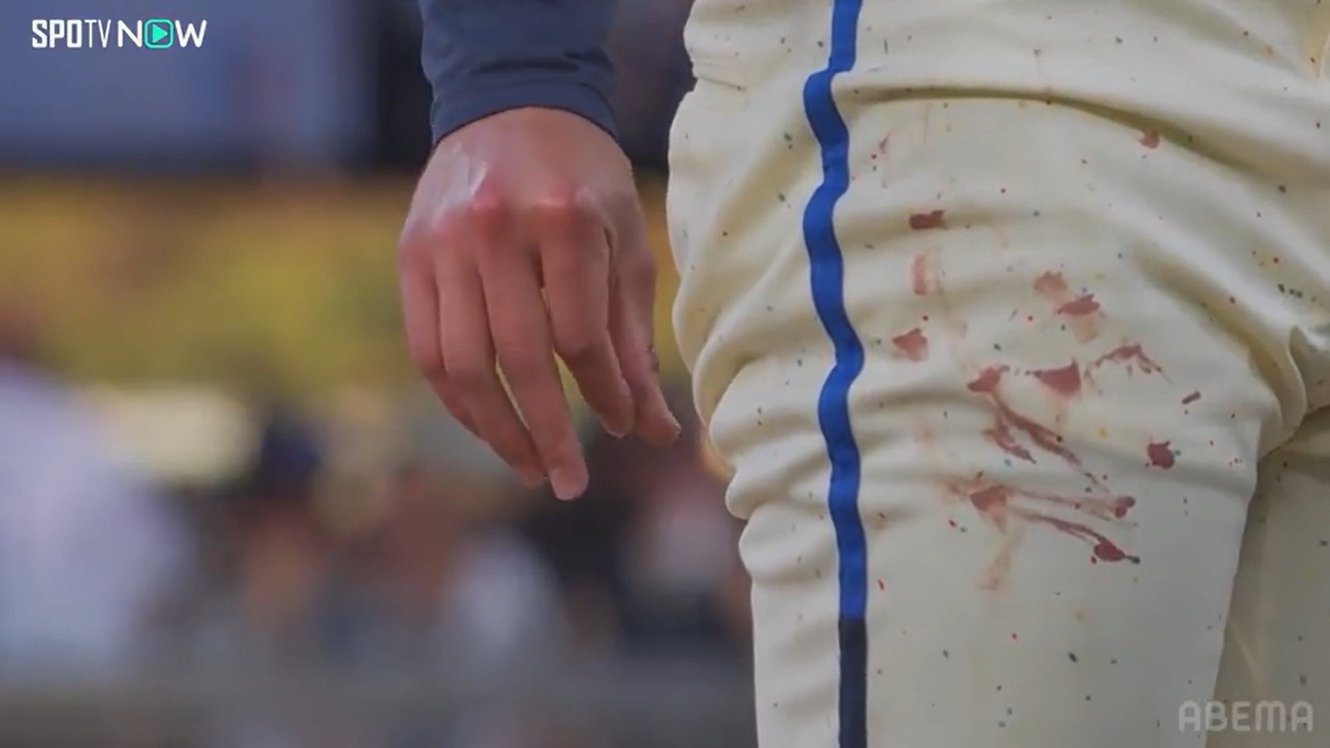 【写真・画像】　2枚目