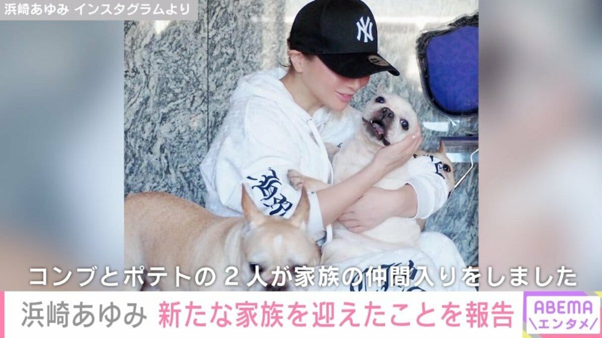 浜崎あゆみ、施設入りしていた保護犬2匹を迎え入れ「余生を穏やかに