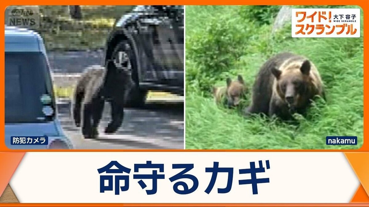 クマに襲われる被害が都内でも 命を左右…クマ撃退スプレー 有効