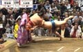 「今もイケメン」大相撲に“元祖No.１イケメン”と言われた著名人の“いま” 「え、映ってる」ファン興奮
