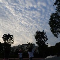 石田あゆみ『鐘の音と母達の声。』