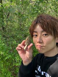 杉浦太陽『きのこ探し』