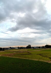 北斗晶『ほうれん草のお味噌汁』