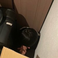 市川海老蔵『いたいた、』