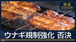 ウナギ規制強化『否決』日本の外交官“ギリギリの勝負”の舞台裏