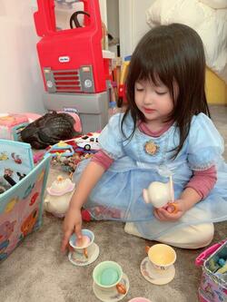  川崎希、アメリカのディズニーで購入した娘のお気に入りの品「音も出て可愛いの」 