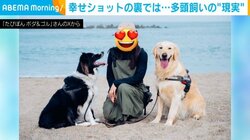 「別々の方向に行かないで～」犬2匹との家族ショットの裏にあった“理想”と“現実”