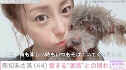 熊切あさ美（44）「生まれ変わっても、わたしの子になってね」愛犬との別れを報告