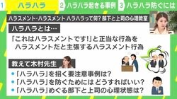 「私がハラスメントだと感じたらハラスメントだ！」…“ハラハラ”なぜ起きる？ 対策は？  精神科医が解説