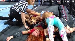 女子レスラー、高さ5メートルから衝撃ダイブ！ 3人一掃でファン5万人の心を“鷲掴み”の瞬間