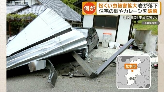 長野県松本市での落石被害