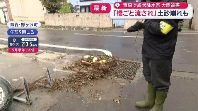 木や植木が散乱