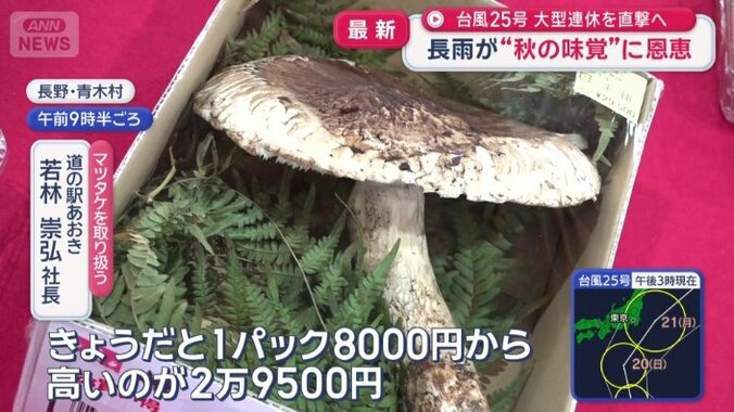 高いものでは2万9500円だが…