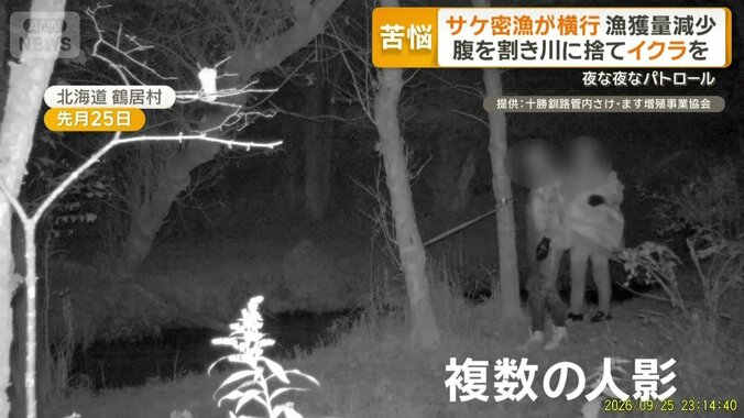 不審な複数の人影