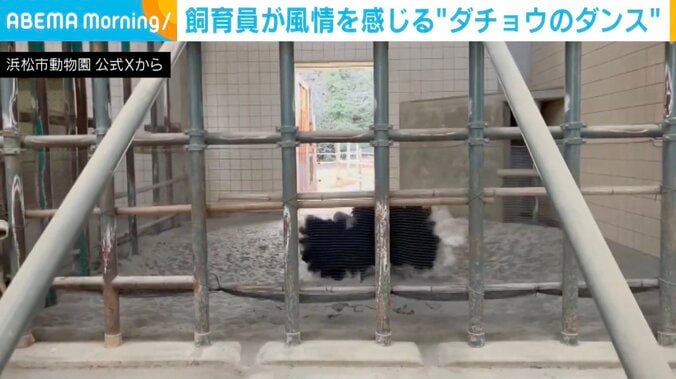 ブラッキーくん