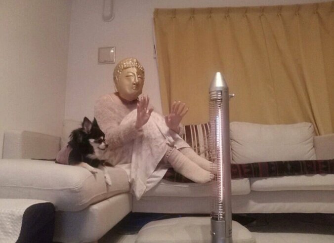 相沢まき、知り合いから「ママなんだからそろそろ痛いよ」の指摘受け苦悩 2枚目