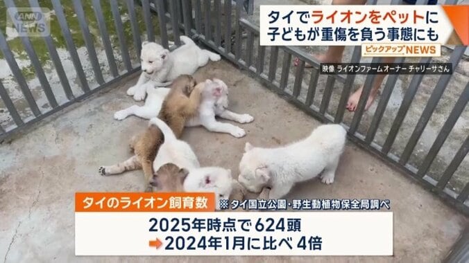飼育数が急増