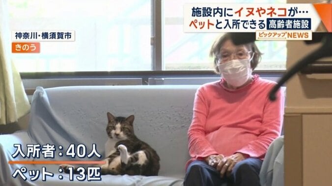 入所者40人が13匹のペットとともに生活