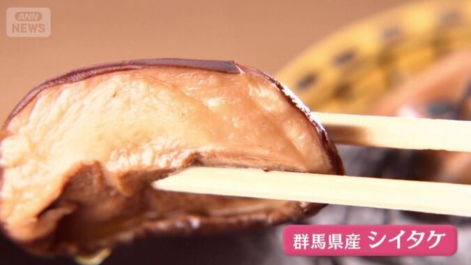 群馬産の肉厚シイタケ