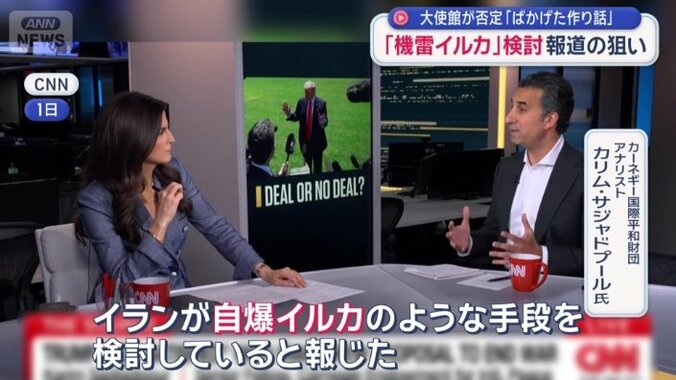 カーネギー国際平和財団　アナリスト　カリム・サジャドプール氏（右）