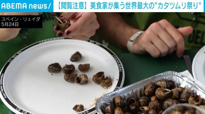 カタツムリ