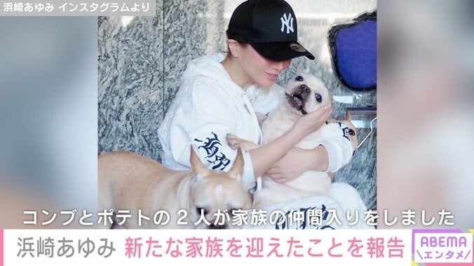 浜崎あゆみ、施設入りしていた保護犬2匹を迎え入れ「余生を穏やかに幸せに彼女たちが過ごせるように」 1枚目
