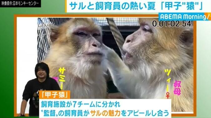 飼育施設7チームが魅力をアピール サルと飼育員の熱い夏「甲子“猿”」 1枚目