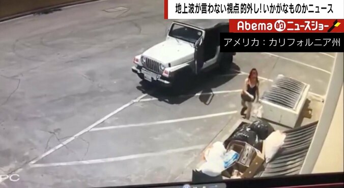 米の女性が「生きた子犬」をゴミ袋で投棄　専門家「自治体によっては日本でも死んだ動物はモノ扱い。遺棄しても処罰されない」 2枚目