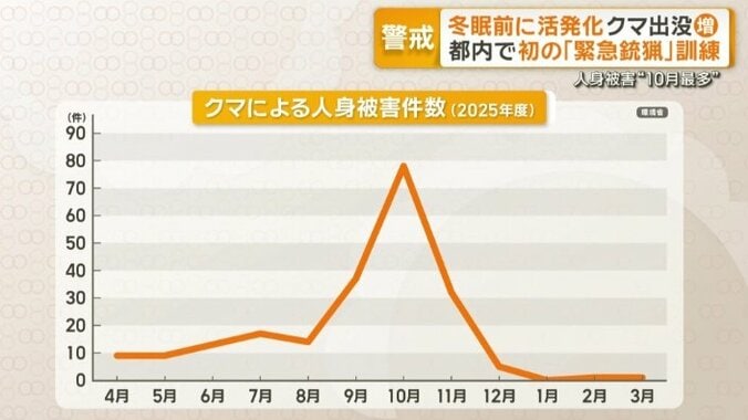 クマによる人身被害件数（2025年）