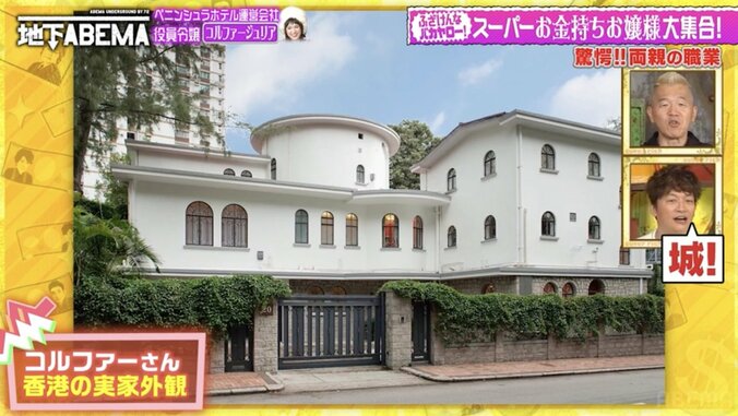 【写真・画像】超お嬢様タレント、5LLLLDKKBBの実家を公開「BはBar。ママのシャンパンバーとパパのシガーバー」　2枚目