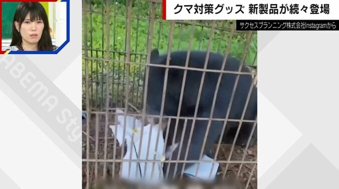 熊テクター（実証実験）