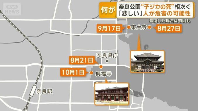 奈良公園の中にある東大寺と興福寺